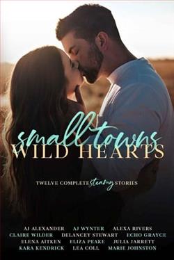 Small Towns, Wild Hearts by Claire Wilder