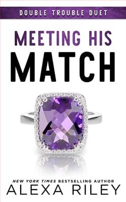 Meeting His Match by Alexa Riley