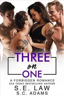Three On One (Forbidden Fantasies) by S.E. Law