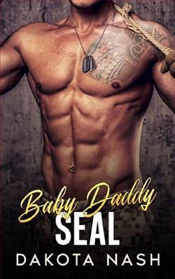 Baby Daddy SEAL by Dakota Nash