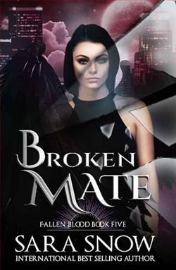 Broken Mate by Sara Snow