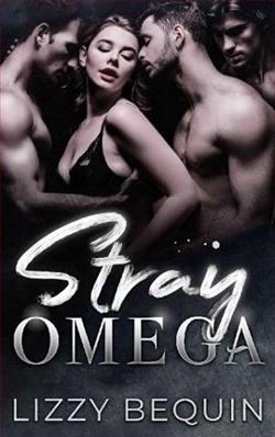 Stray Omega by Lizzy Bequin