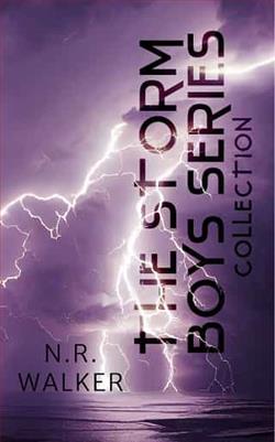 The Storm Boys Series Collection by N.R. Walker