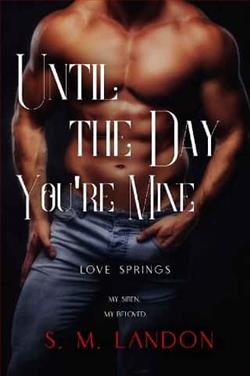 Until the Day You're Mine by S.M. Landon