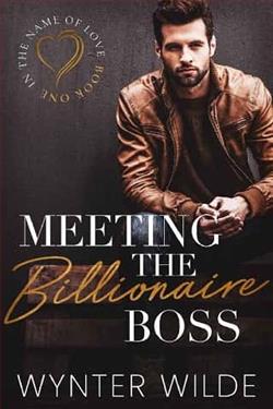 Meeting the Billionaire Boss by Wynter Wilde