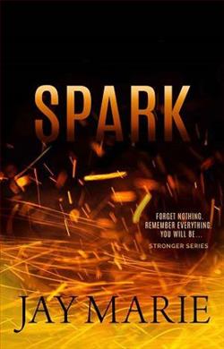 Spark by Jay Marie