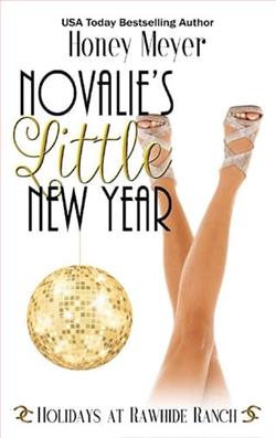 Novalie's Little New Year by Honey Meyer