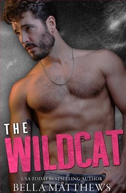 The Wildcat by Bella Matthews