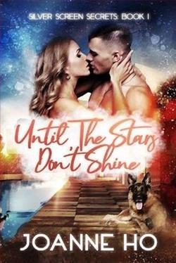 Until The Stars Don't Shine by Joanne Ho