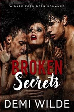 Broken Secrets by Demi Wilde