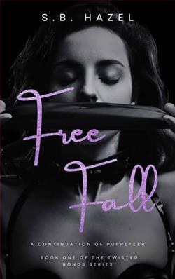 Free Fall by S.B. Hazel