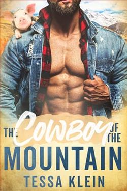 The Cowboy of the Mountain by Tessa Klein
