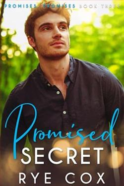 Promised Secret by Rye Cox