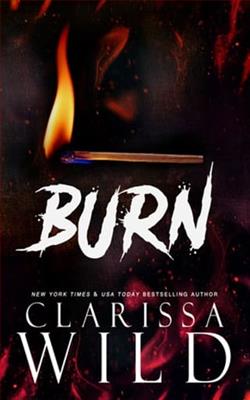 Burn by Clarissa Wild
