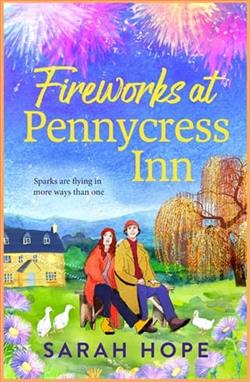 Fireworks at Pennycress Inn by Sarah Hope