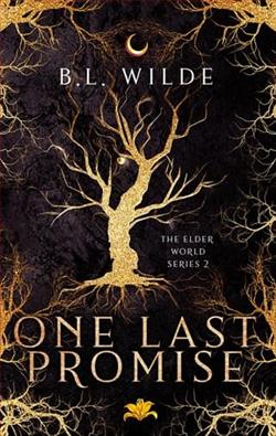 One Last Promise by B.L. Wilde