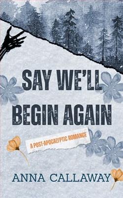 Say We'll Begin Again by Anna Callaway
