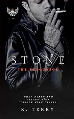 Stone: The Precursor by K. Terry
