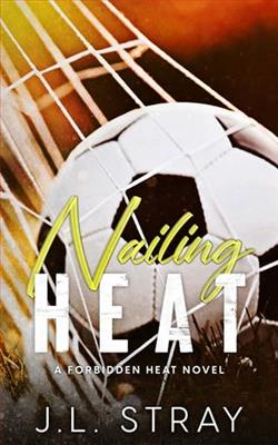 Nailing Heat by J.L. Stray