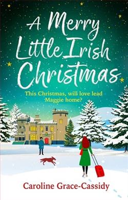 A Merry Little Irish Christmas by Caroline Grace-Cassidy