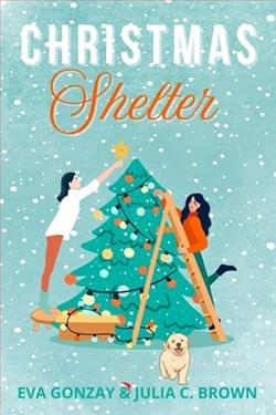 Christmas Shelter by Eva Gonzay