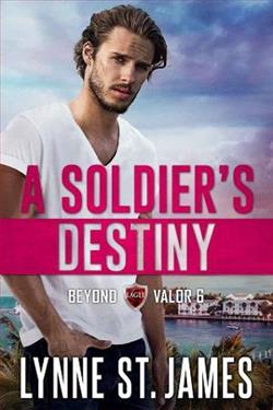A Soldier's Destiny by Lynne St. James