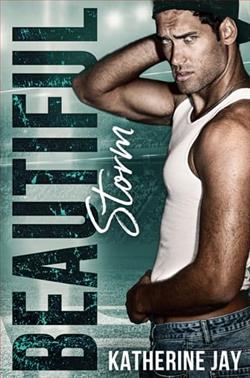 Beautiful Storm by Katherine Jay