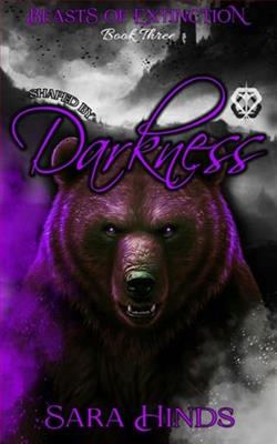 Shaped By Darkness by Sara Hinds