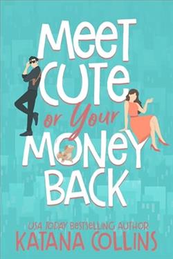 Meet Cute or Your Money Back by Katana Collins