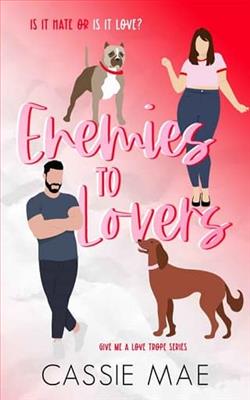 Enemies to Lovers by Cassie Mae