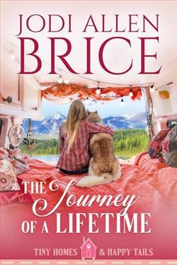 The Journey of a Lifetime by Jodi Allen Brice