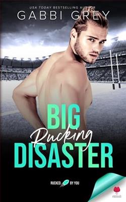 Big Rucking Disaster by Gabbi Grey