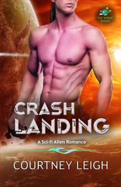 Crash Landing by Courtney Leigh