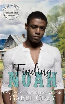 Finding Noah by Gabbi Grey