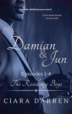Damian & Jun: Episodes 1-4 by Ciara Darren