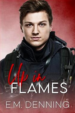 Up In Flames by E.M. Denning