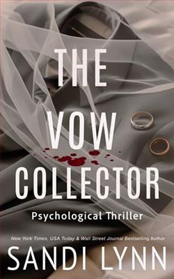 The Vow Collector by Sandi Lynn