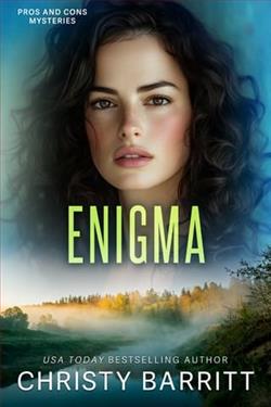 Enigma by Christy Barritt