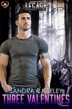 Three Valentines, Ronan by Sandra R. Neeley