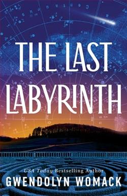 The Last Labyrinth by Gwendolyn Womack