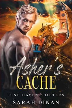 Asher's Cache by Sarah Dinan