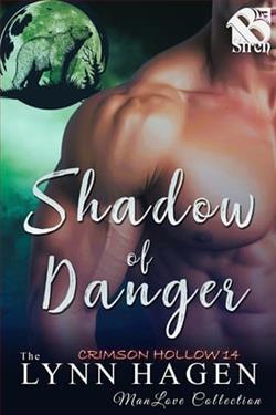 Shadow of Danger by Lynn Hagen