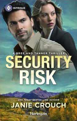 Security Risk by Janie Crouch