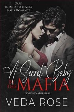 A Secret Baby By the Mafia by Veda Rose