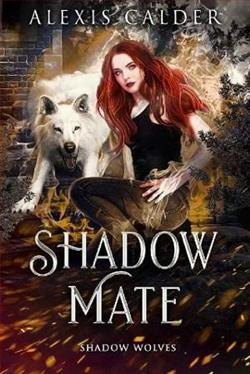 Shadow Mate by Alexis Calder