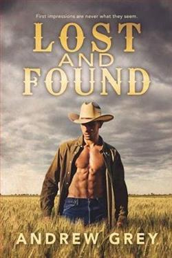 Lost and Found by Andrew Grey