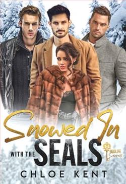 Snowed in with the SEALs by Chloe Kent