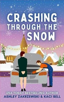 Crashing Through The Snow by Ashley Zakrzewski