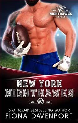 The New York Nighthawks: Vol 1 by Fiona Davenport
