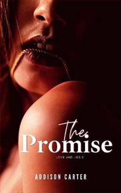 The Promise by Addison Carter